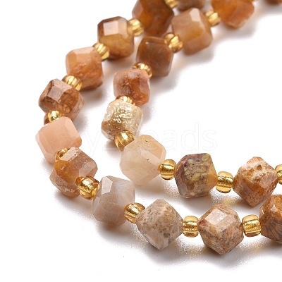 Natural Fossil Coral Beads Strands G-P463-48-1