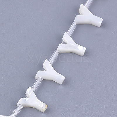 Natural Sea Shell Beads SHEL-T012-60Y-1