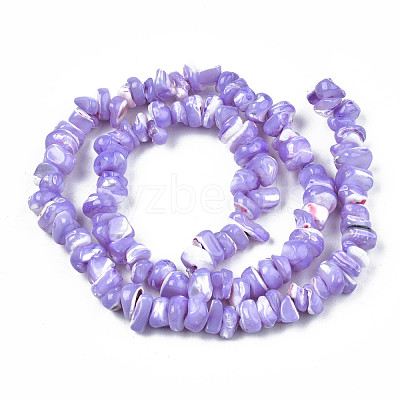 Natural Freshwater Shell Beads Strands SHEL-N003-23-B01-1