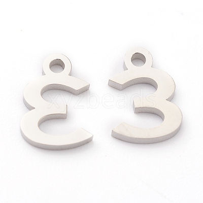 Non-Tarnish 304 Stainless Steel Charms STAS-G244-01E-1