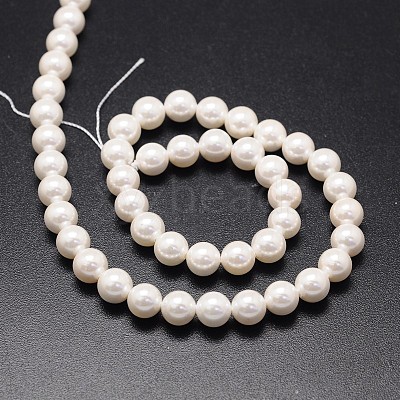 Shell Pearl Beads Strands X-BSHE-E008-16mm-12-1