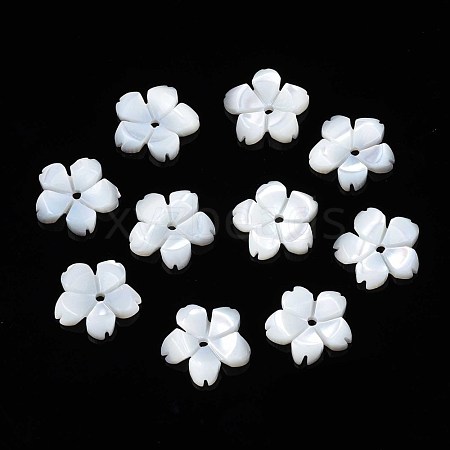 Natural White Shell Beads SSHEL-S260-057-1