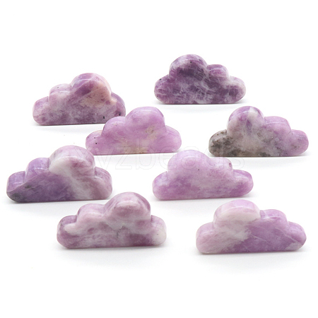 Natural Lepidolite/Purple Mica Stone Display Decorations G-PW0004-06H-1