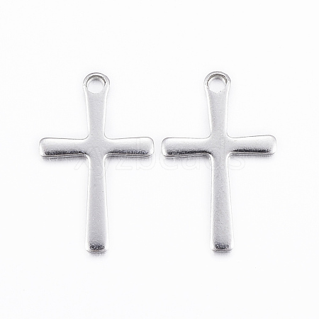 Non-Tarnish 304 Stainless Steel Charms X-STAS-H423-10P-1