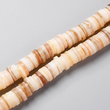 Natural Freshwater Shell Beads Strands SHEL-C001-05-1