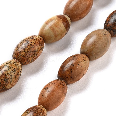 Natural Picture Jasper Beads Strands G-B106-B21-01-1