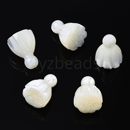 Natural Trochid Shell/Trochus Shell Beads SSHEL-N032-39-1