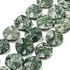 Natural Green Spot Jasper Beads Strands G-Z061-B08-02-1