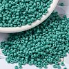 MIYUKI Round Rocailles Beads X-SEED-G008-RR0412L-1