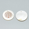 Freshwater Shell Pendants SHEL-Q016-019RG-2