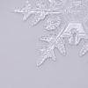 Acrylic Transparent Pendants TACR-WH0001-14-2