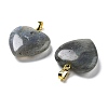 Natural Labradorite Pendants G-G956-B24-G-2