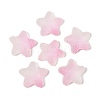 Imitation Candy Food Style Resin Cabochons X1-RESI-R461-02K-1