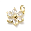 Brass with Rhinestone Charms KK-CBAD872-01G-09-2