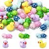 25Pcs 5 Styles Mini Tortoise & Duck Resin Display Decorations RESI-YW0001-61-1