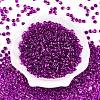 6/0 Baking Paint Transparent Fringe Glass Seed Beads X1-SEED-N006-06H-2