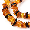 Natural Amber Beads Strands G-T138-235E-3