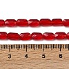 Transparent Glass Beads Strands GLAA-Z018-C19-4