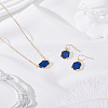 Hexagon Alloy Resin Pendant Necklaces and Dangle Earrings Sets for Women SJEW-LP0001-52C-3