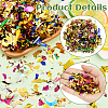 200G Aluminized Paper Confetti for Party Decorate Supplies DIY-SC0031-95-3