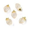 Transparent Glass Pendants GLAA-P072-03G-10-1