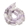 Natural Amethyst Beads Strands G-N327-06-04-3