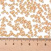 TOHO Round Seed Beads X-SEED-TR08-0301-4