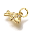 Rack Plating Brass Micro Pave Cubic Zirconia Charms KK-I720-10G-2