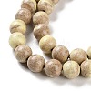 Natural Rainbow Alashan Agate Beads Strands G-NH0022-A05-02-4