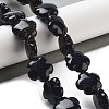 Natural Black Agate Beads Strands G-F769-A01-01-2