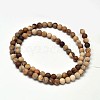Frosted Natural Petrified Wood Round Bead Strands G-F266-07-6mm-2
