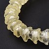 Transparent Glass Beads Strands LAMP-H061-01C-05-5