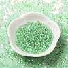 8/0 Glass Seed Beads SEED-Z001-C-E01-2