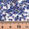 Glass Bugle Beads SEED-S032-09A-641-4