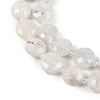 Natural Rainbow Moonstone Beads Strands G-B094-A06-01-3