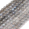 Natural Labradorite Round Bead Strands G-M263-B-03-4
