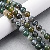 Natural Moss Agate Beads Strands G-F453-8mm-5