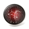 Twelve Constellation Creative Alloy Badges Constellation Brooches JEWB-S033-01P-E-1