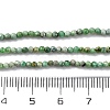 Natural Variscite Beads Strands G-G188-B05-03-5