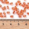 Glass Seed Beads SEED-A033-01A-01-3