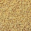 MIYUKI Round Rocailles Beads X-SEED-G007-RR1052-4