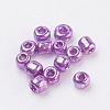 Glass Seed Beads E06900B2-2