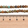 Natural Turquoise Beads Strands G-Z163-B02-4mm-5