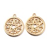 Zinc Alloy Pendants FIND-I017-02G-1