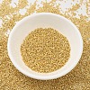 MIYUKI Delica Beads SEED-MY11-DB0031-2