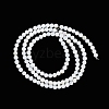 Natural Freshwater Shell Beads Strands BSHE-H109-03A-3