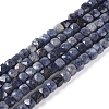 Natural Sapphire Beads Strands G-L537-020B-1