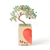 Heart Money Tree Natural Natural Green Aventurine Bonsai Display Decorations DJEW-G027-16RG-04-2