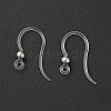 Transparent Resin Earring Hooks RESI-G050-01P-2