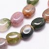 Natural Indian Agate Beads Strands G-N0173-02-6x8mm-3